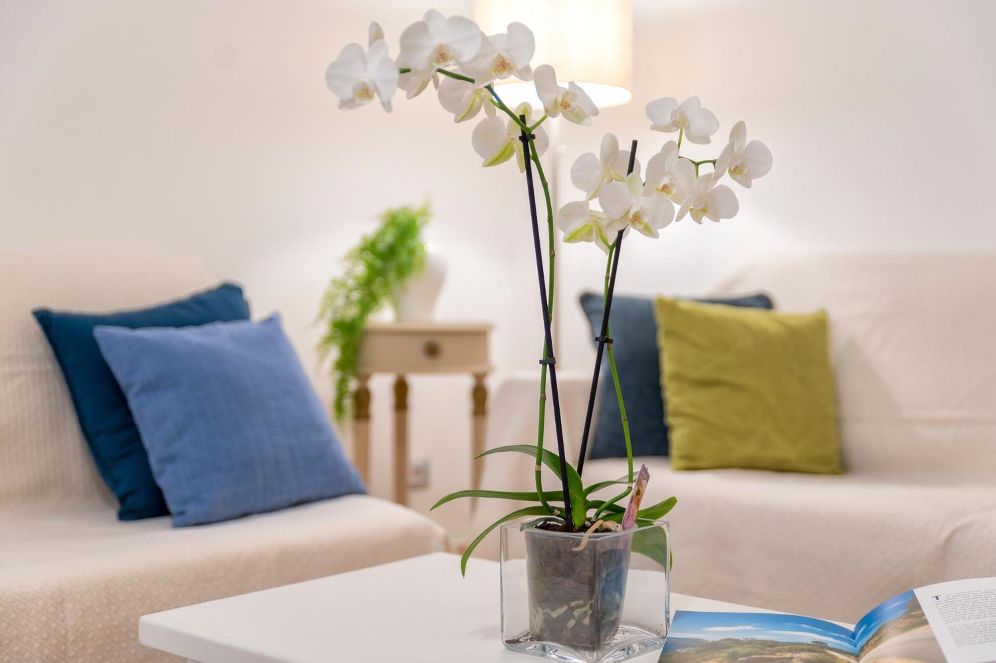 Casa Comoda A Due Passi Dal Lungomare 阿尔盖罗 外观 照片